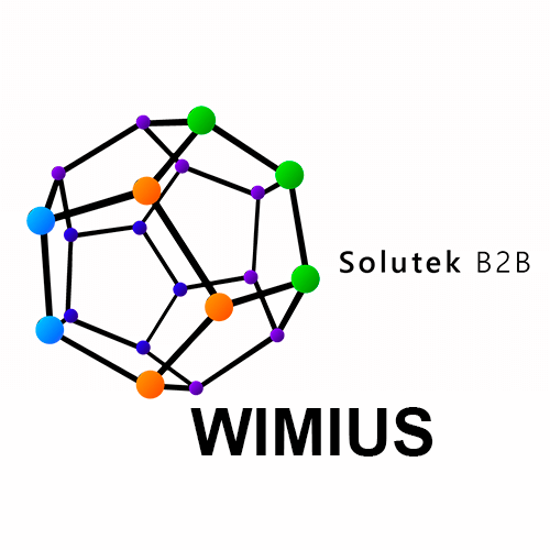 Montaje de proyectores Wimius